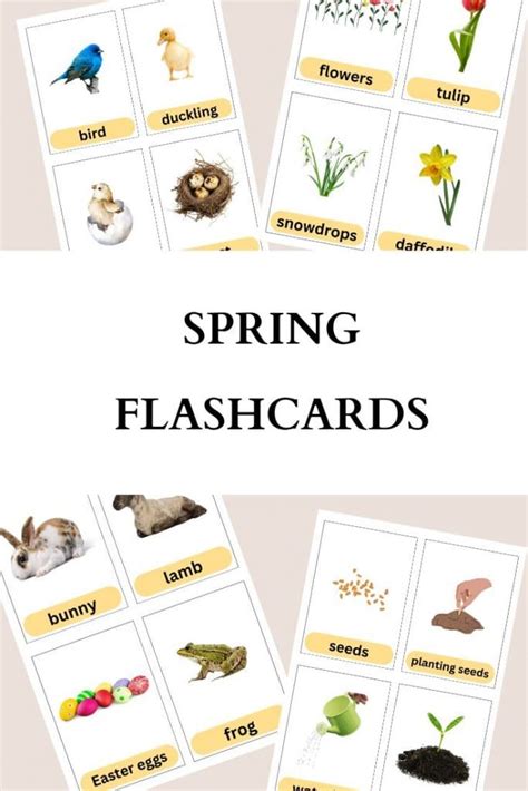 Spring 1995 Flashcards 